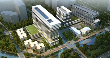 绿联产业观察2019 第③期