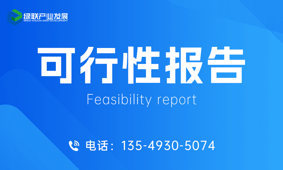 可行性报告