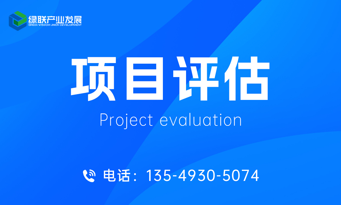 项目评估